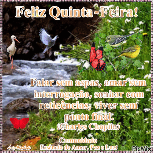 Feliz Quinta! - GIF เคลื่อนไหวฟรี