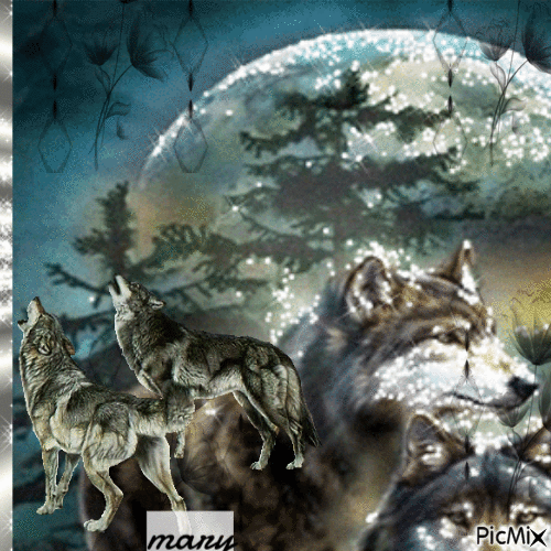 Les loups - Animovaný GIF zadarmo
