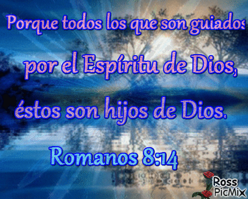 Romanos 8:24 - Безплатен анимиран GIF