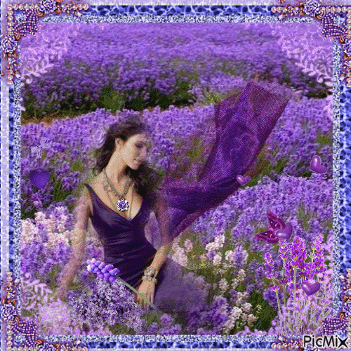 Lavender field - Gratis animeret GIF