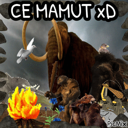CE MAMUT xd - 免费动画 GIF