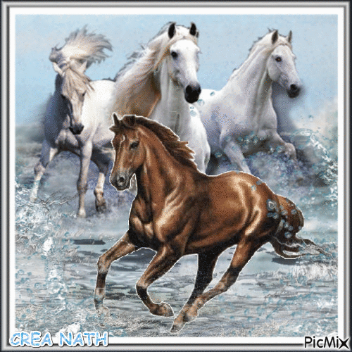 les chevaux  concours - Ilmainen animoitu GIF