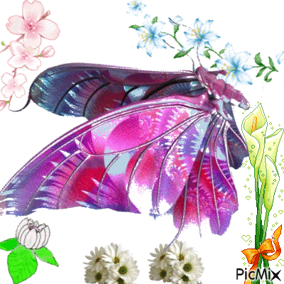 joli papillon - Gratis animeret GIF