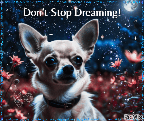 Don't Stop Dreaming! - GIF animé gratuit