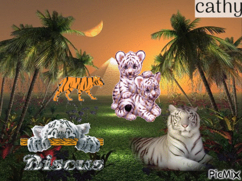 les tigres - GIF animate gratis