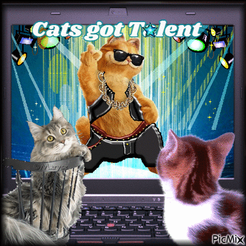 Cats got talent - Бесплатный анимированный гифка