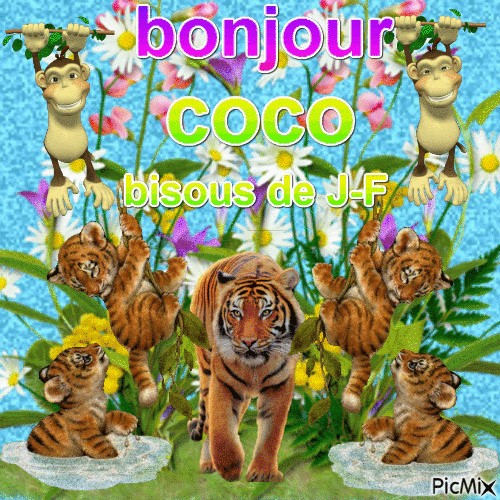 bonjour coco - Bezmaksas animēts GIF