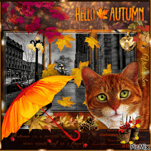 Autumn - Besplatni animirani GIF