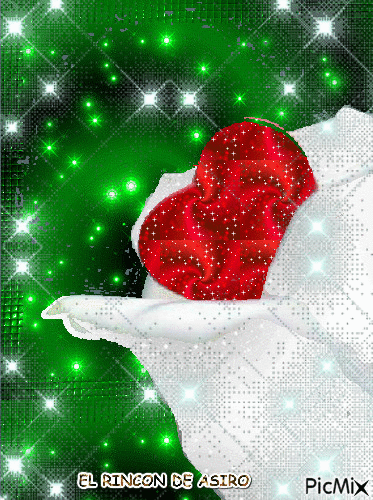 rosa  blanca con escarcha - Ingyenes animált GIF