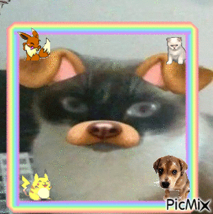 rainbow dog filter - Free animated GIF