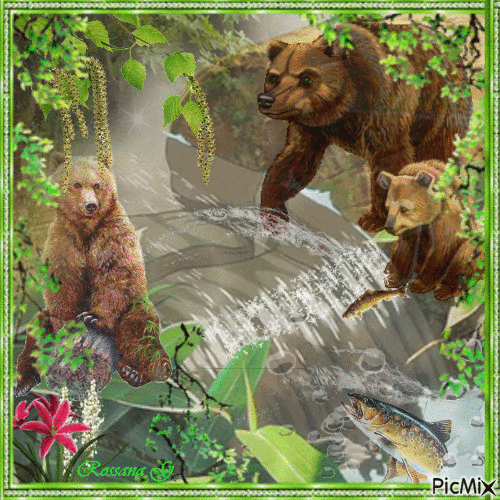 Les ours qui pêchent les saumons - GIF animado gratis