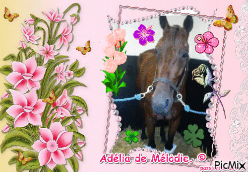 La championne Adelia de Mélodie. © - Бесплатный анимированный гифка
