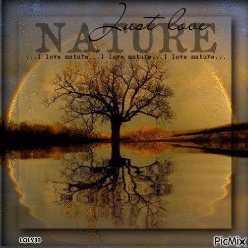 Reflet nature - 免费动画 GIF