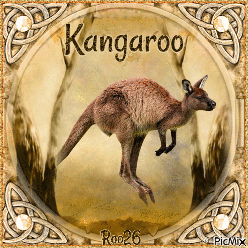 My favourite animal ~ Kangaroo - GIF animado grátis