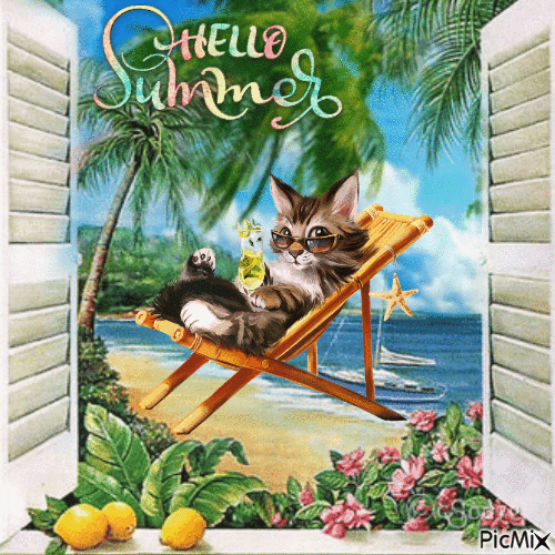 ☆☆ CAT SUMMER ☆☆ - GIF animé gratuit