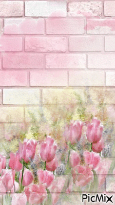 En una pared rosada - GIF animado gratis