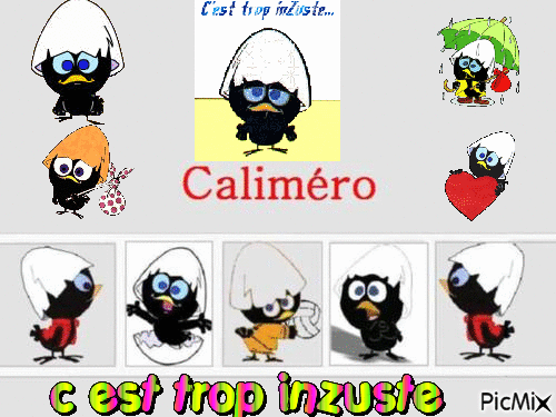CALIMERO - Gratis animerad GIF