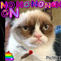 Grumpy cat - GIF animasi gratis