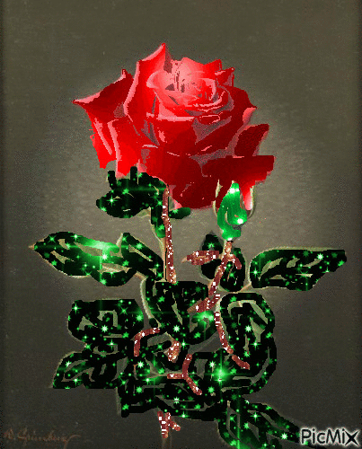 ruže - GIF animasi gratis