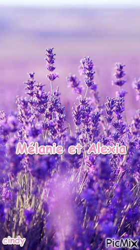 Mélanie et Alexia - Free PNG
