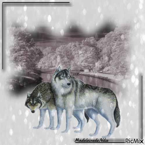 les loups - 免费动画 GIF