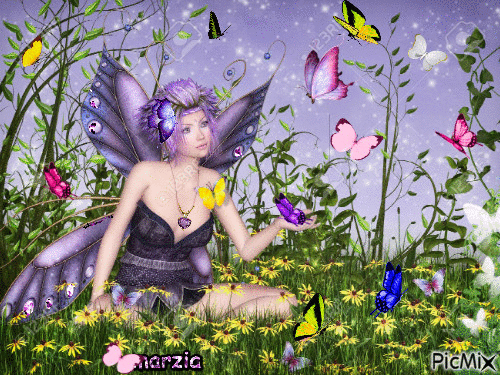 papillon contest - Ingyenes animált GIF