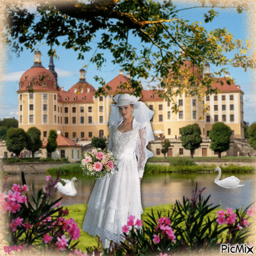Braut in weiß - Bezmaksas animēts GIF