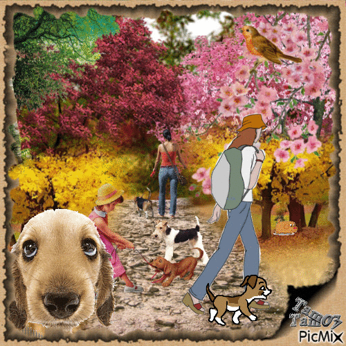 Promenade des chiens ♥ - Безплатен анимиран GIF
