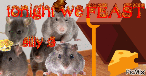 rat eating cheese - Gratis animeret GIF