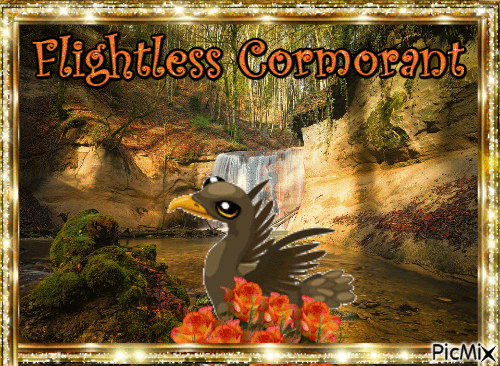 Flightless Cormorant - Бесплатни анимирани ГИФ