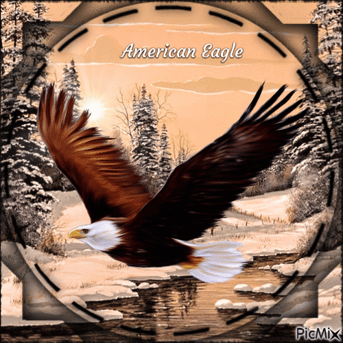 Eagle in the Winter-RM-01-22-23 - Gratis geanimeerde GIF