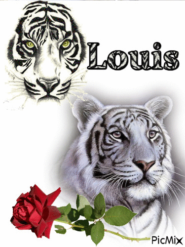 Louis - Besplatni animirani GIF