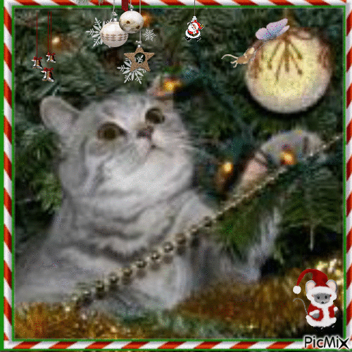 Le Chat et le sapin - Free animated GIF