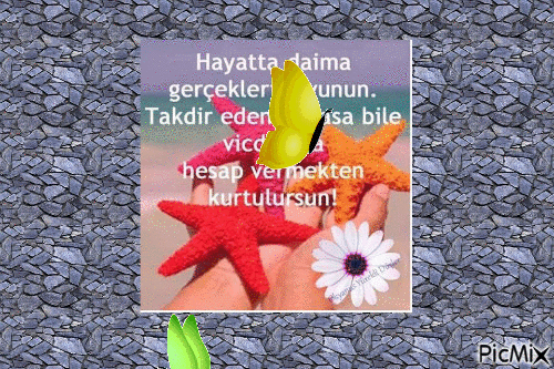 özlü söz - Zdarma animovaný GIF