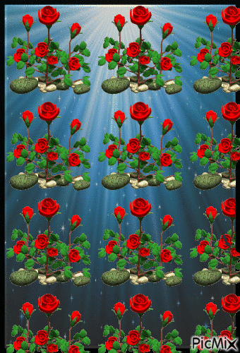 water flowers - Gratis animeret GIF