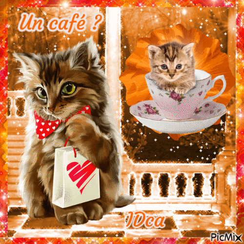 Un café   les chatons - Бесплатный анимированный гифка