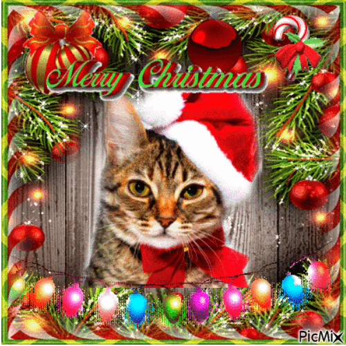 Christmas Cat Art - GIF animasi gratis