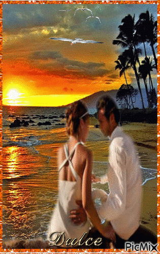 couple in the sunset - Gratis animeret GIF