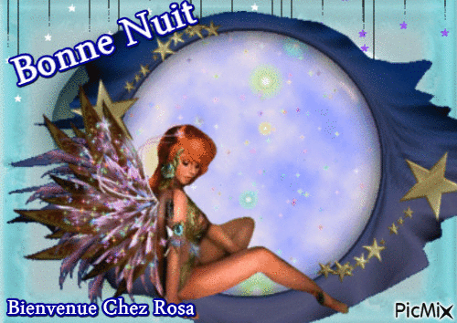 Bonne nuit - 無料のアニメーション GIF