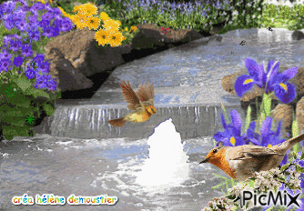 petite cascade - Darmowy animowany GIF