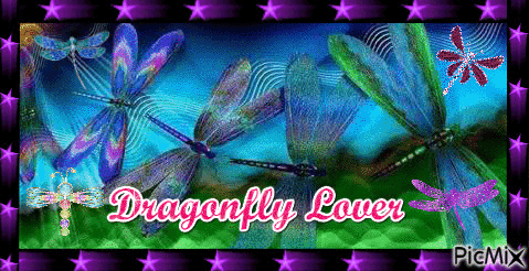DragonflyLover - Animovaný GIF zadarmo