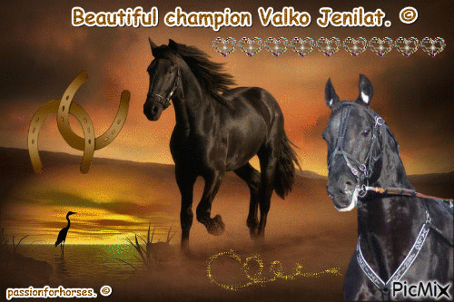 Le champion Valko Jenilat. © - Animovaný GIF zadarmo