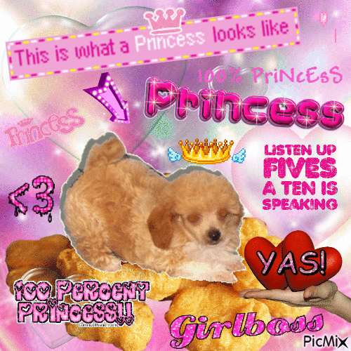 princess girlboss - 無料のアニメーション GIF