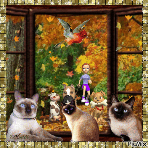 Automne et trois chats Siamois - Darmowy animowany GIF