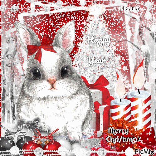 Christmas animal-contest - Animovaný GIF zadarmo