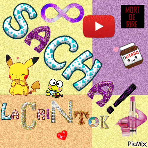 Voici ma chaine youtube donc mon logos Sacha la Chintok - Ücretsiz animasyonlu GIF