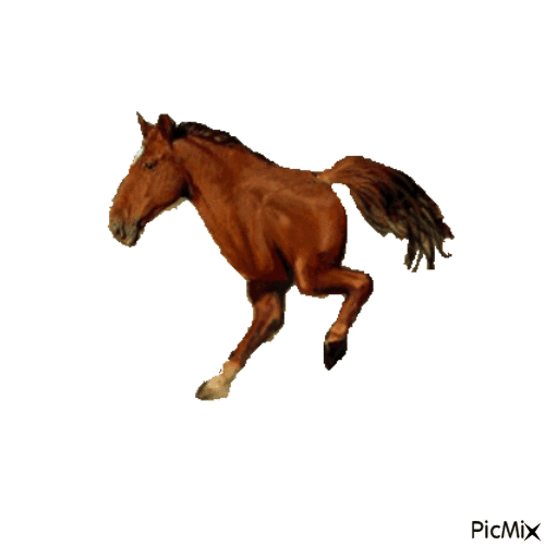 Funny Horse - GIF animé gratuit