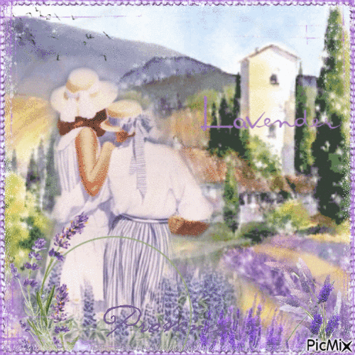 Lavender Field - Free animated GIF