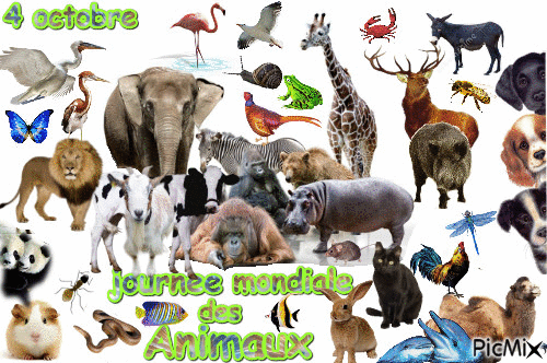 animaux - Animovaný GIF zadarmo