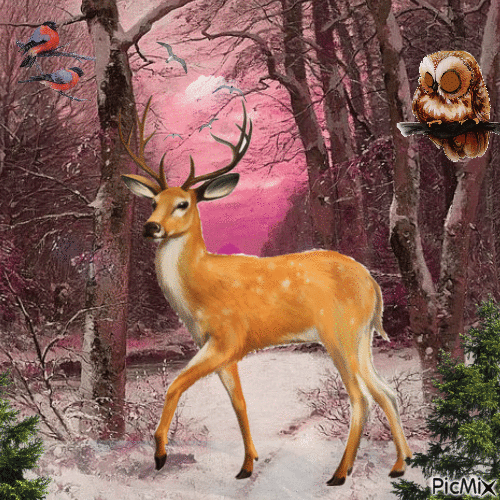 Winter forest. - Animovaný GIF zadarmo